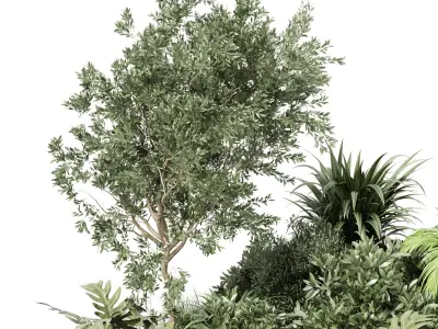 set outdoor indoor  pot plant tree bush fern the garden pot 3D model