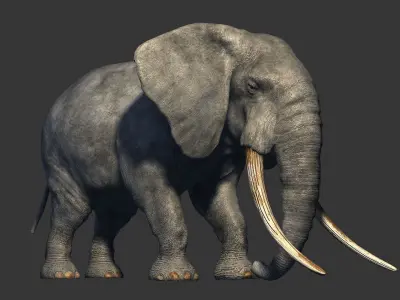 animated elephant 3D model