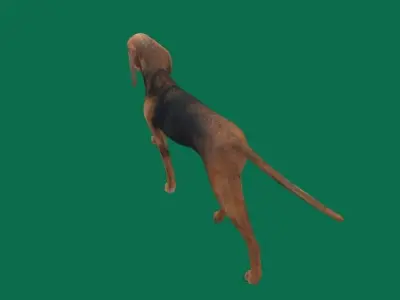 BloodHound Dog Low-poly 3D model