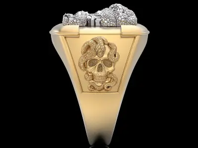 Skull snake Man Ring silver gold printable jewelry 3D print model