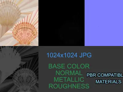 Sea Shell PBR Free 3D model