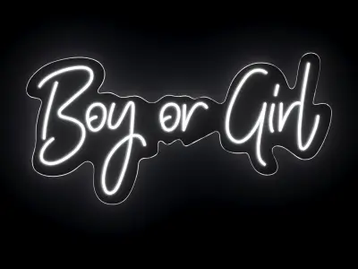 Boy Or Girl Neon Sign 3D model