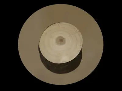 Tree Stump Glass Coffee Table 3D model