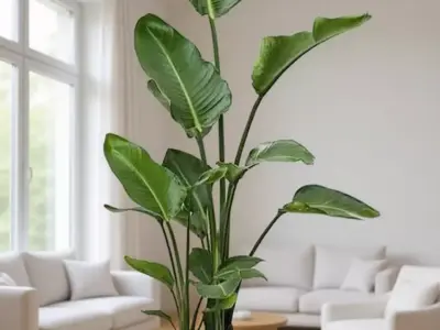 Tropical Plant Pot 3D Model Realistic Indoor Greenery Design Low-poly 3D model