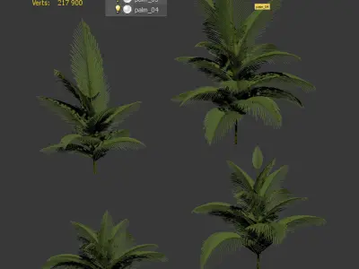 Palm trees - 4 models Low-poly 3D model