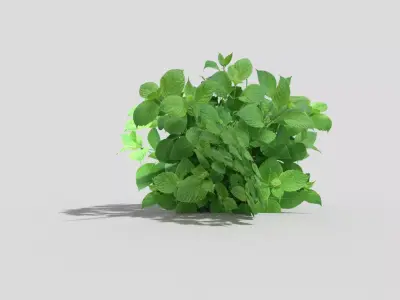 Low poly Plant Low-poly 3D model
