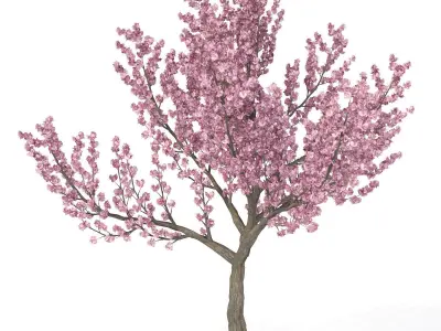2020 XfrogPlants Blossoming Trees Library  3D model