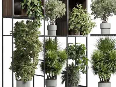 Standing metal shelf with a set of plants in wooden Low-poly 3D model