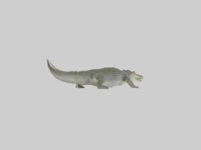 Nile Crocodile basking model Low-poly 3D model