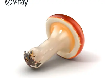 Dual-tone Red-Cap Mushroom model pack Low-poly 3D model