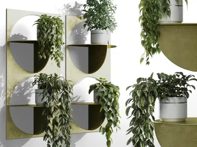 wall plant - set Indoor plant 365 plants in on a shelf Low-poly 3D model