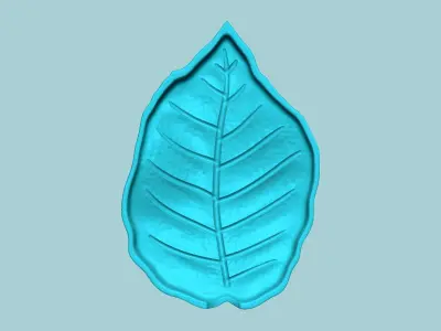 European Beech Leaf - Molding Artificial EVA Craft 3D print model