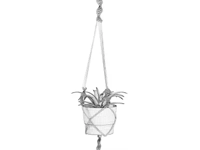 Plant in White Hanging Pot 3D Model 3D model