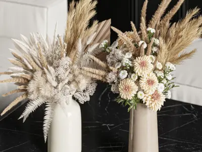 Flower Set 024 Pampas 3D model