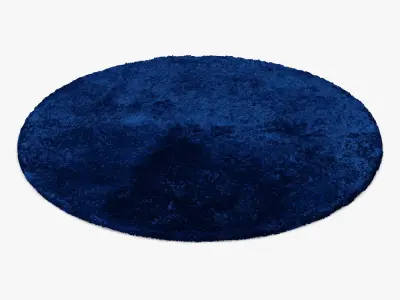 Morel Round Rug 3D model