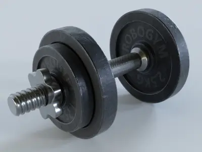 Dumbbell pair of dumbbells 3D model