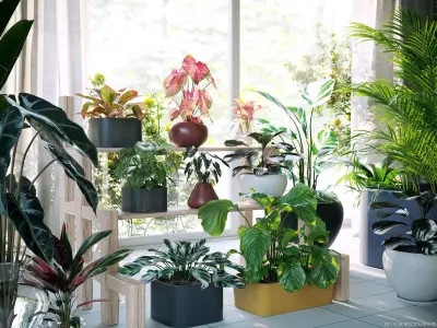 Maxtree Plant Models Vol 62 - Mesh 3D model