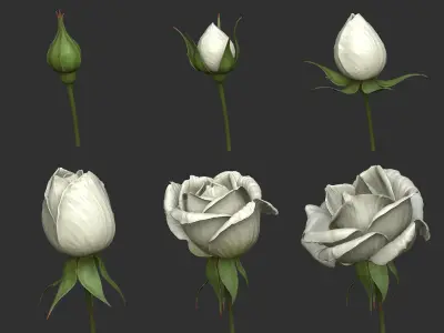 Rose LaerZ  Zbrush tool  Low-poly 3D model