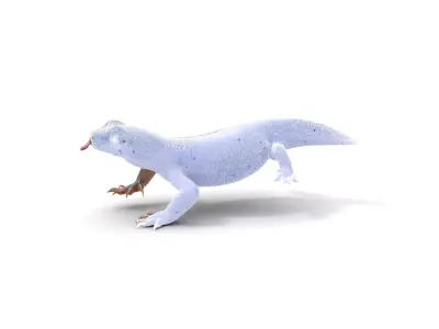 Vibrant Skink Reptile model pack Low-poly 3D model