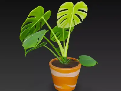 Realistic 3D Monstera Plant in Striped Terracotta Pot 3D model