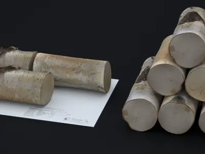 WINTER WOOD LOG 2024 3D model