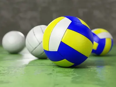 Volleyball set with 4 types material 3D model