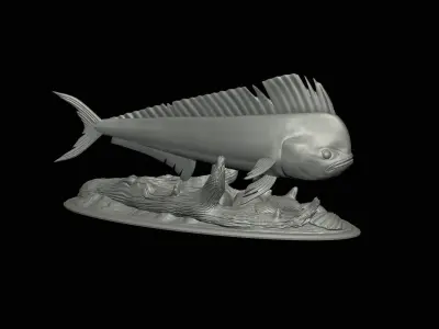 fish mahi mahi in motion underwater statue detailed texture  3D print model