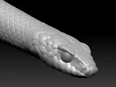 Black Snake Zbrush Model 3D model
