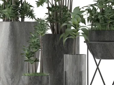 Plants Collection 14 3D model