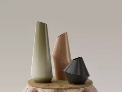 JARRONES DECORATIVOS - FLOREROS - VASOS 3D print model