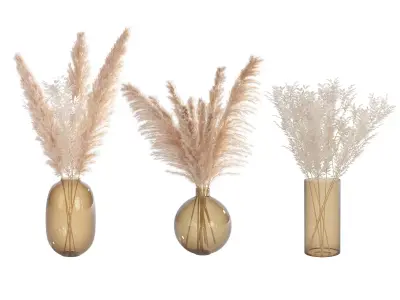dried flowers set - pampas 3D model
