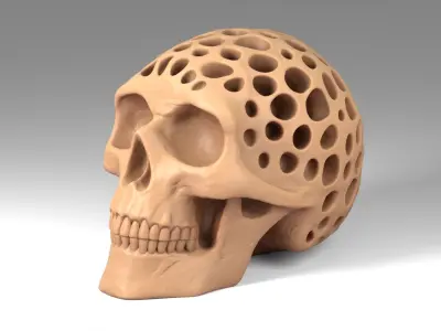 Organic Decorative Skull Figurine 3D print model
