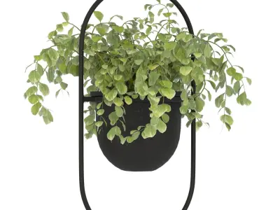 Metal Hanging Plants 01 3D model