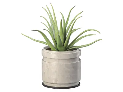 plant set-001 3D model