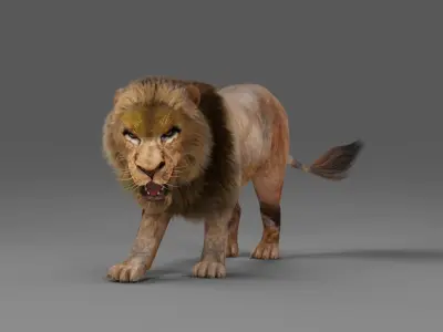 Fur Lion Rigged in Blender  Low-poly 3D model