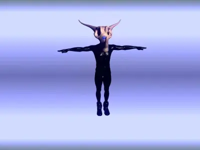 2 Toon Masks Low-poly 3D model