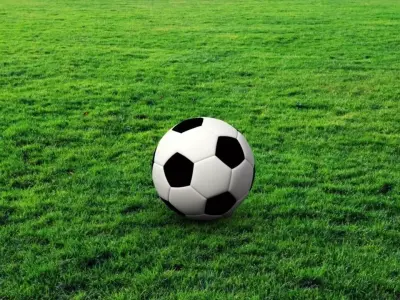 Soccer Ball Free 3D model 7