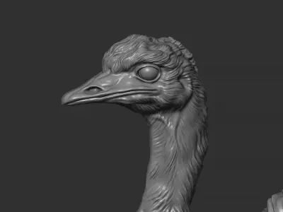 Emu ostrich bust 3D print model