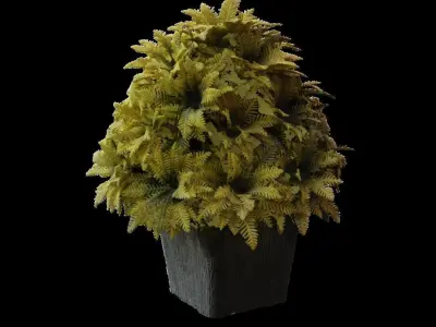 Artificial Plant 3D scan Free 3D model