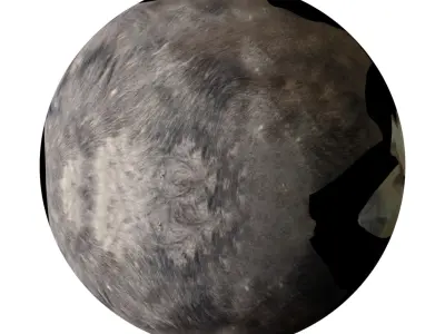 African Buffalo Low-poly 3D model