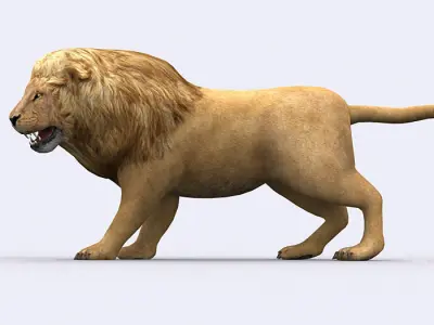 3DRT - Lion Low-poly 3D model