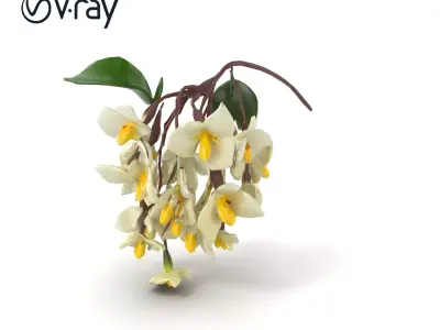 White Wisteria Snow-White Petals Floral model pack Low-poly 3D model