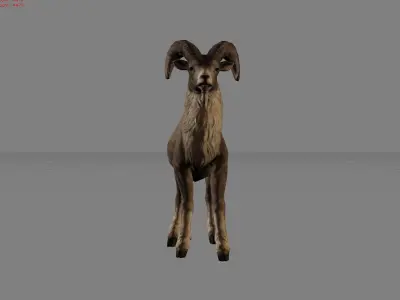 Fighter Goat Animal  Low-poly 3D model