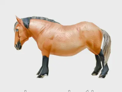 Buckskin Morgan Horse with Tan Coat and Black Points Low-poly 3D model