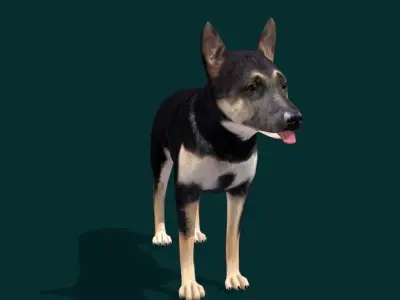 German Shepherd Puppy Dog Low-poly 3D model
