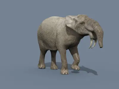 Deinotherium Thraceiensis HD - 3d animated 3D model