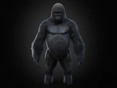 Gorilla 3 STATIC XGEN CORE 3D model