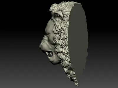 Lion Head Relief  3D Print Model 3D print model