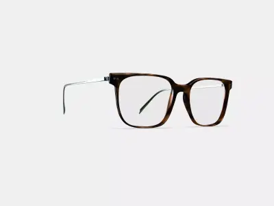 Caleb Eyeglasses in Woodgrain Tortoise with Polished Silver 3D model