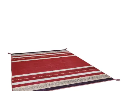 Andes Ruby Red Cotton Chenille Handmade Area Rug 3D model